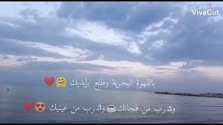 بالقهوة البحرية فيروز حالات واتس🎶🎶 فيروزيات الصبح_بحر فنجان قهوة😍😍💙💙