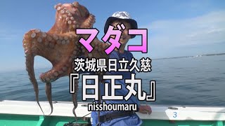 日正丸・茨城県日立久慈港・マダコ【オフショアマガジン】