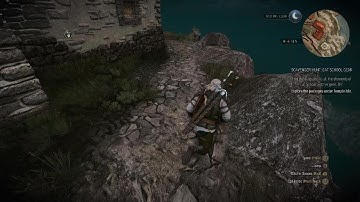 The Witcher 3 Mission failed successfully?