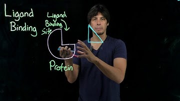 Topic 6.2 - Ligand binding proteins