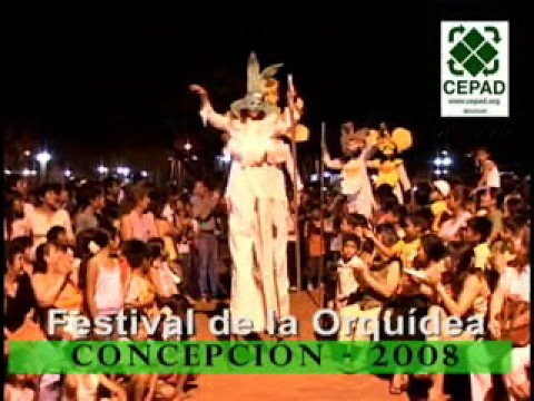 Orquidea 2008