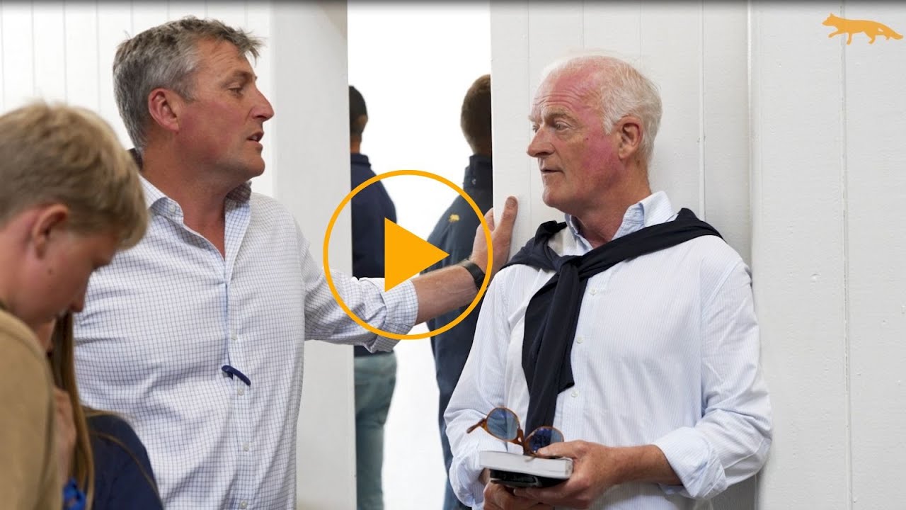 Review: Tattersalls Ireland Derby Sale 2025