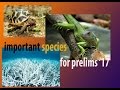 IMPORTANT SPECIES FOR UPSC PRELIMS 2017