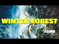 Winter Forest ASMR | Bushbox LF Stove | SNOWSHOES
