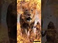 People Crying Out Why Lord Why People Crying Out Why Lord Why