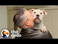 Guy Adopts &#39;Broken&#39; Dog | The Dodo