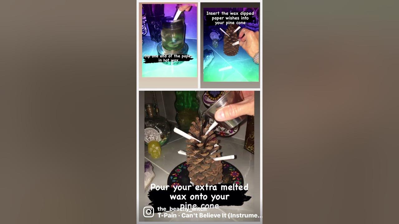 Pine cone wish spell #witchcraft #witchywoman #money #spells #newyear #