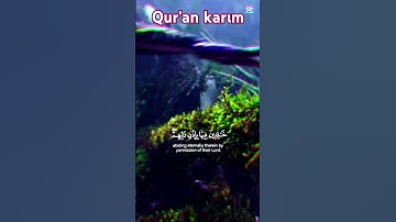 الآية { 23 } سورة ـ إبراهيم ـ القارئ ـ الشيخ ـ عبدالباسط ـ رحمه الله ـ #ايات  ـ قصيرة