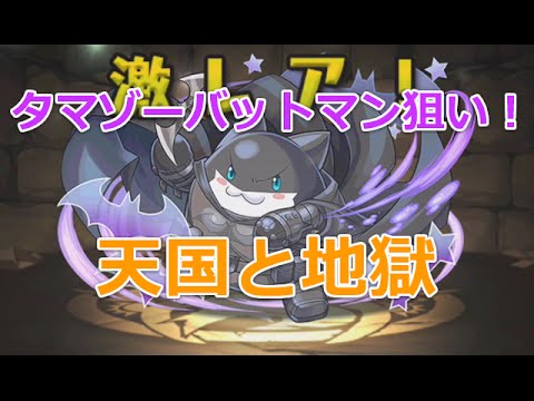 パズドラ バットマンコラボガチャの結果 タマゾーxバットマン狙い Youtube