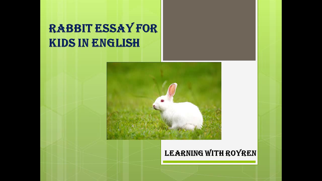 essay on rabbit for 2nd class
