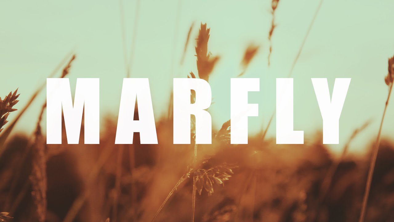 MARFLY