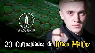 ¿Qué lechuza tenía Draco Malfoy?