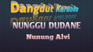 NUNGGU DUDANE NUNUNG ALVY Karaoke Tanpa Vokal@DEDIROSADI