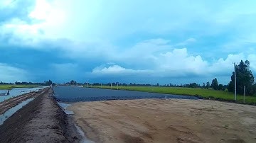 Tiến độ đường dẫn cầu Vàm Cống (Huyện Lấp Vò, Đồng Tháp) cuối T5/2017