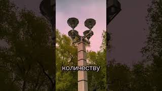 Здесь Каждый Поток Как Монтаж Истории, Каждый Отблеск Как Жест Благодарности. Пространство, Где