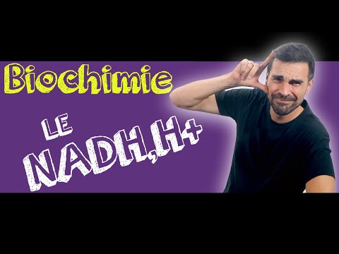 Vidéo: Pourquoi la reconstitution du nad+ est-elle cruciale pour le métabolisme cellulaire ?