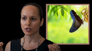 Embrace Change and Transform Your Life - Embracing Change and Transformation