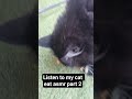 Song Automobile Coolingsolutions Musicgenre Memes Helpmemakethismakesense Songrock Song Automobile Coolingsolutions Musicgenre Memes Helpmemakethismakesense Songrock