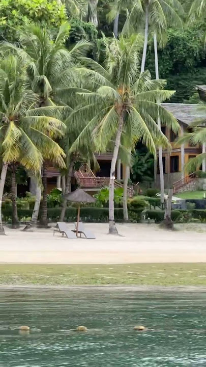 #paradise #travel #sealife #relaxing #short