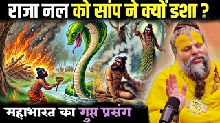धर्म निष्ठा रख ने वाली राजा नल: आखिर क्यों हुई इतनी पीड़ा?