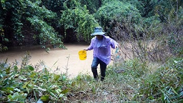 Câu cá suối ở "Mã Đà sơn cước" hoang sơ từ cái tên ✅