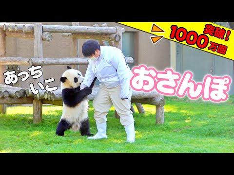 天才パンダ楓浜🐼超絶大好きな😍飼育員さんを見つけた2秒後、歴史的な瞬間が…神w