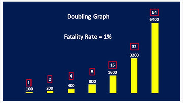 Explaining Fatality Rates in an Epidemic