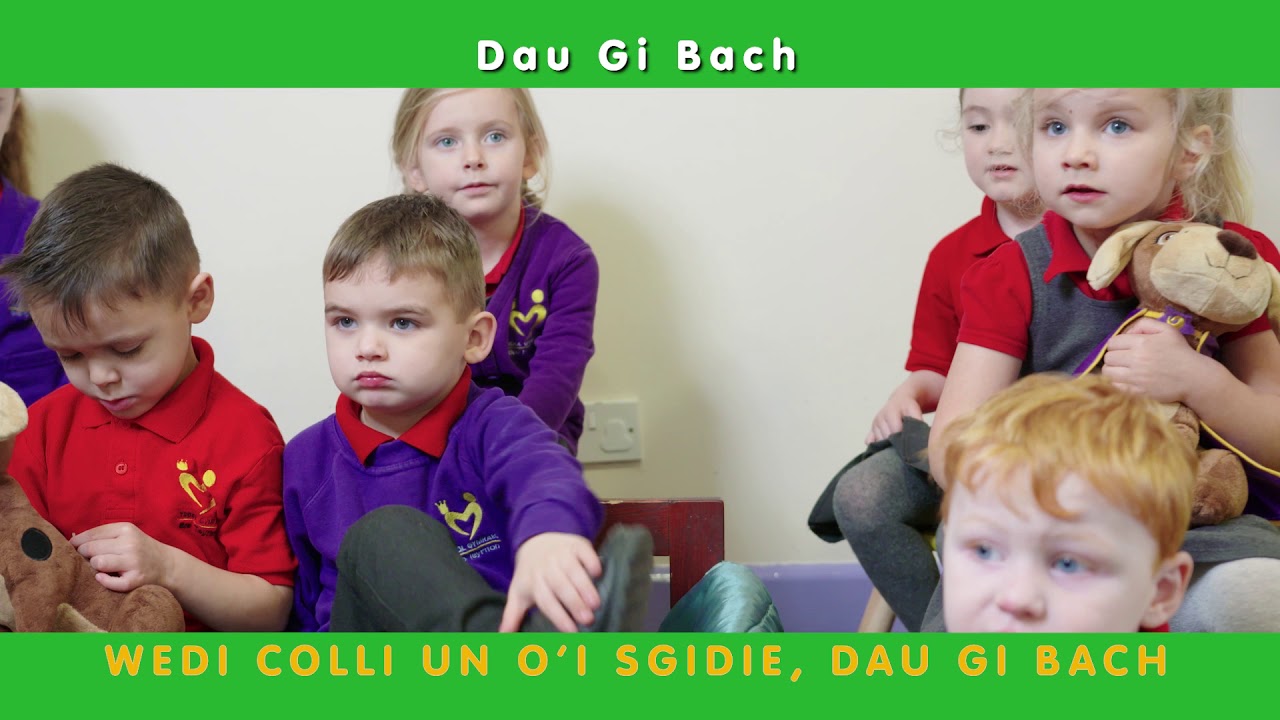 dau-gi-bach-youtube