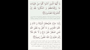 سوره بقره آیات ۱۷۱و۱۷۲با معنی گویا گوارای وجودتان #قرآن #قران_كريم #قران #قرآن_كريم #youtube