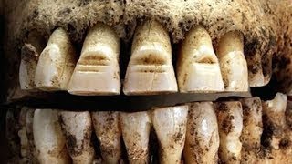 Викинги: ШОКИРУЮЩИЕ факты про которые вы не знали - документальный фильм Викинги: ШОКИРУЮЩИЕ факты про которые вы не знали - документальный фильм