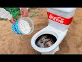 the Best Experiments with Coca Cola and Mentos!