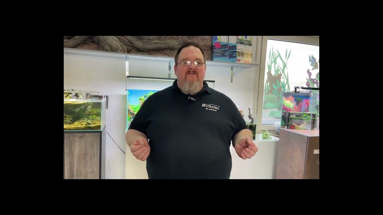 Willkommen bei Aquaristik Wilhelmi – Ein Rundgang durch den gesamten Laden!