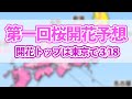 第一回桜開花予想 桜開花トップは東京で 3/18
