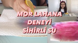 Okul Öncesi Deney 3 Mor Lahana Deneyi Sihirli Su Melis Ecrin