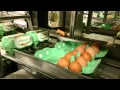 Diamond 8400 egg grader