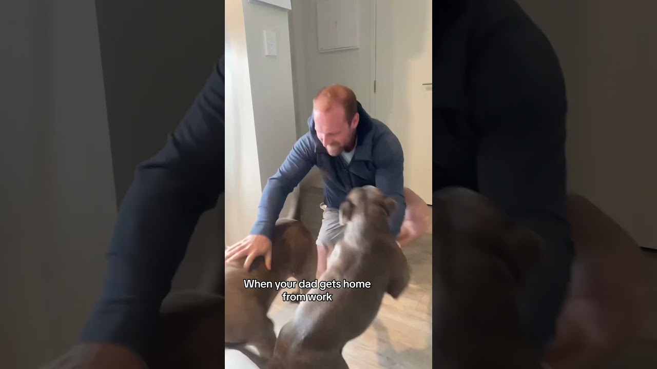 The best time of day 