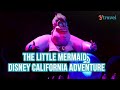 The Enchanting Little Mermaid Ride at Disney California Adventure