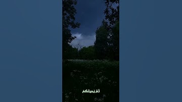 Part1|كَيفَ تَكْفُرُونَ بِاللّهِ وَكُنتُمْ أَمْوَاتًا فَأَحْيَاكُمْ ۖ#سوره_البقره#مشاري_العفاسي#قرآن