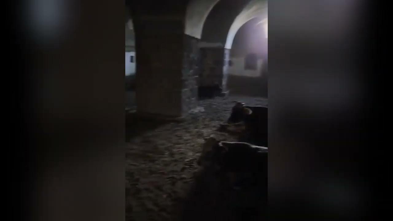 Aziziye Tabyaları’nda skandal görüntüler
