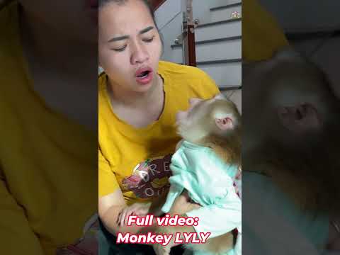 Lyly is so cute! #shorts #youtubeshorts