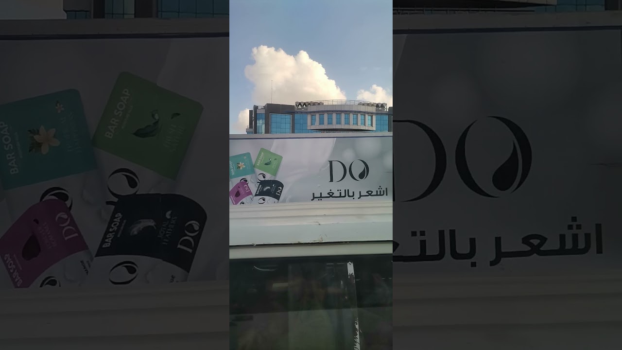 شركة بتروچيت - الإسكندرية