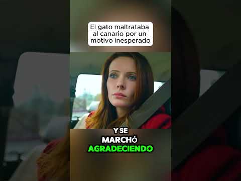 El gato maltrataba al canario por un motivo inesperado#shorts #viralvideo