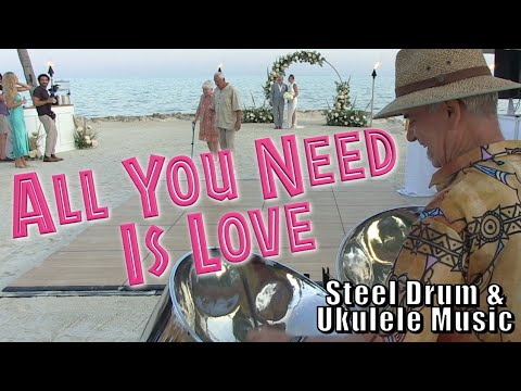 All You Need Is Love - steel drums reggae cover
