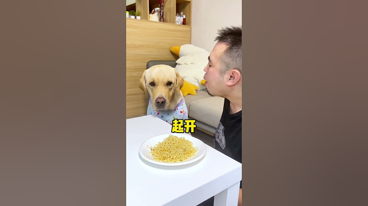 【旺仔很忙】这狗子是真的狗…