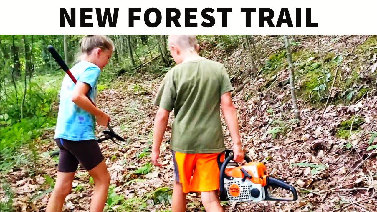 Making a Trail in the Woods ATV and Hiking Path YouTube