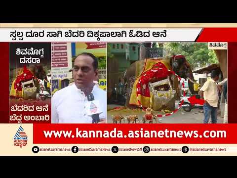 Shimoga Dasara Tragedy: ಶಿವಮೊಗ್ಗದಲ್ಲಿ ಎರಡು ಆನೆಗಳ ಕಾಳಗ, ವೈರ್‌ಗೆ ಸಿಲುಕಿ ನೆಲಕ್ಕುರುಳಿದ ಬೆಳ್ಳಿ ಅಂಬಾರಿ!