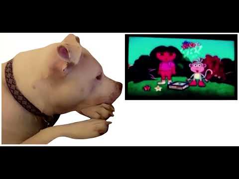 Dog Patrol: Dog Watching Dora The Explorer: What Happens Next On TV