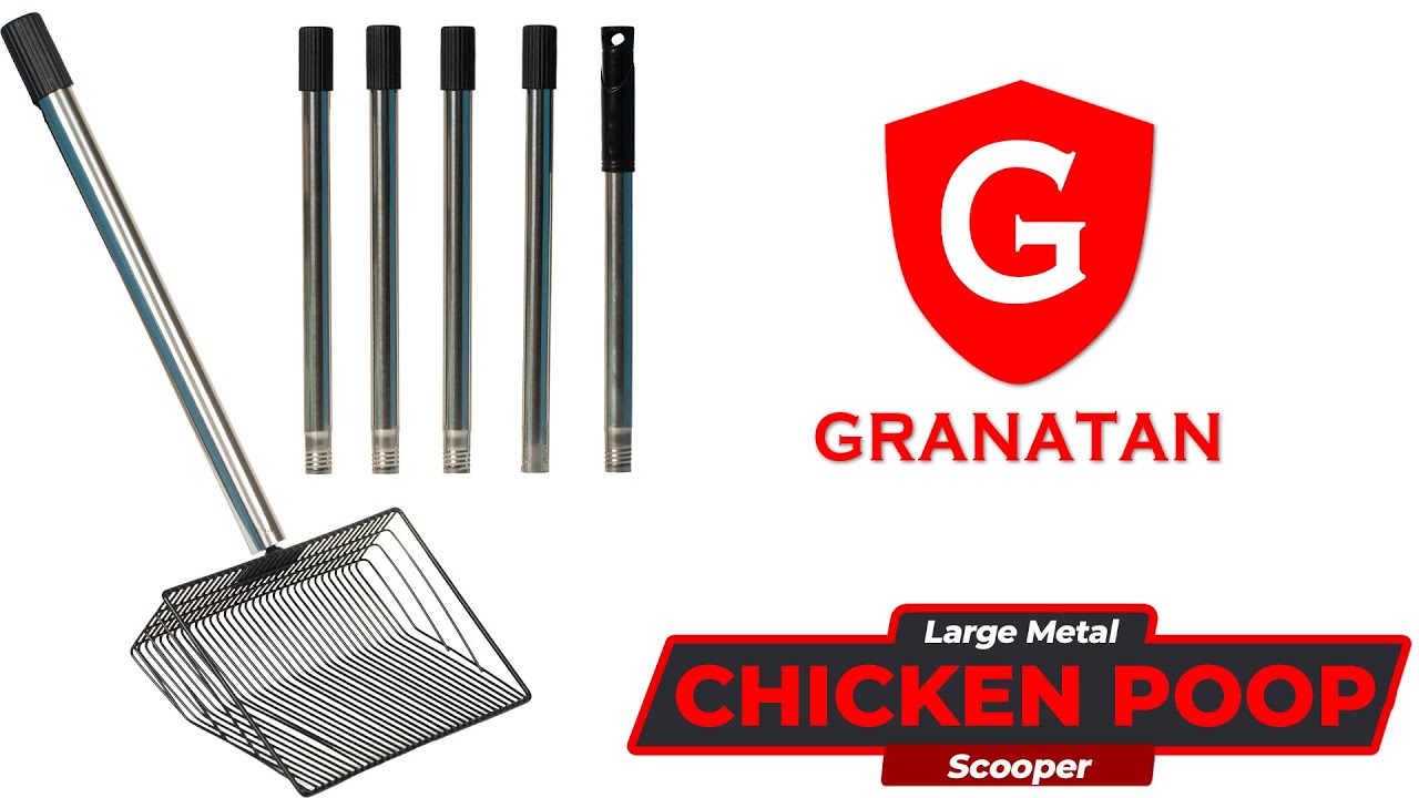 10inch 4 in 1 Large Metal Chicken Poop Scooper –  34–72" Handle | Chicken Coop Cleaning Tool