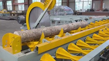 Automatic Wood Veneer Peeling Line by Mingding D-tech