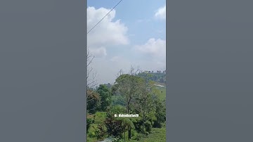 Noah - Semua Tentang Kita #noahband #noah #semuatentangkita #video #videoshort #videoyoutube